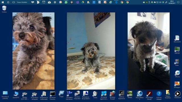 18879926_1846744595647727_2131425928907454889_o