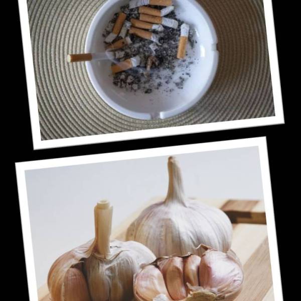 Agli. Zavagli. Fumagli.